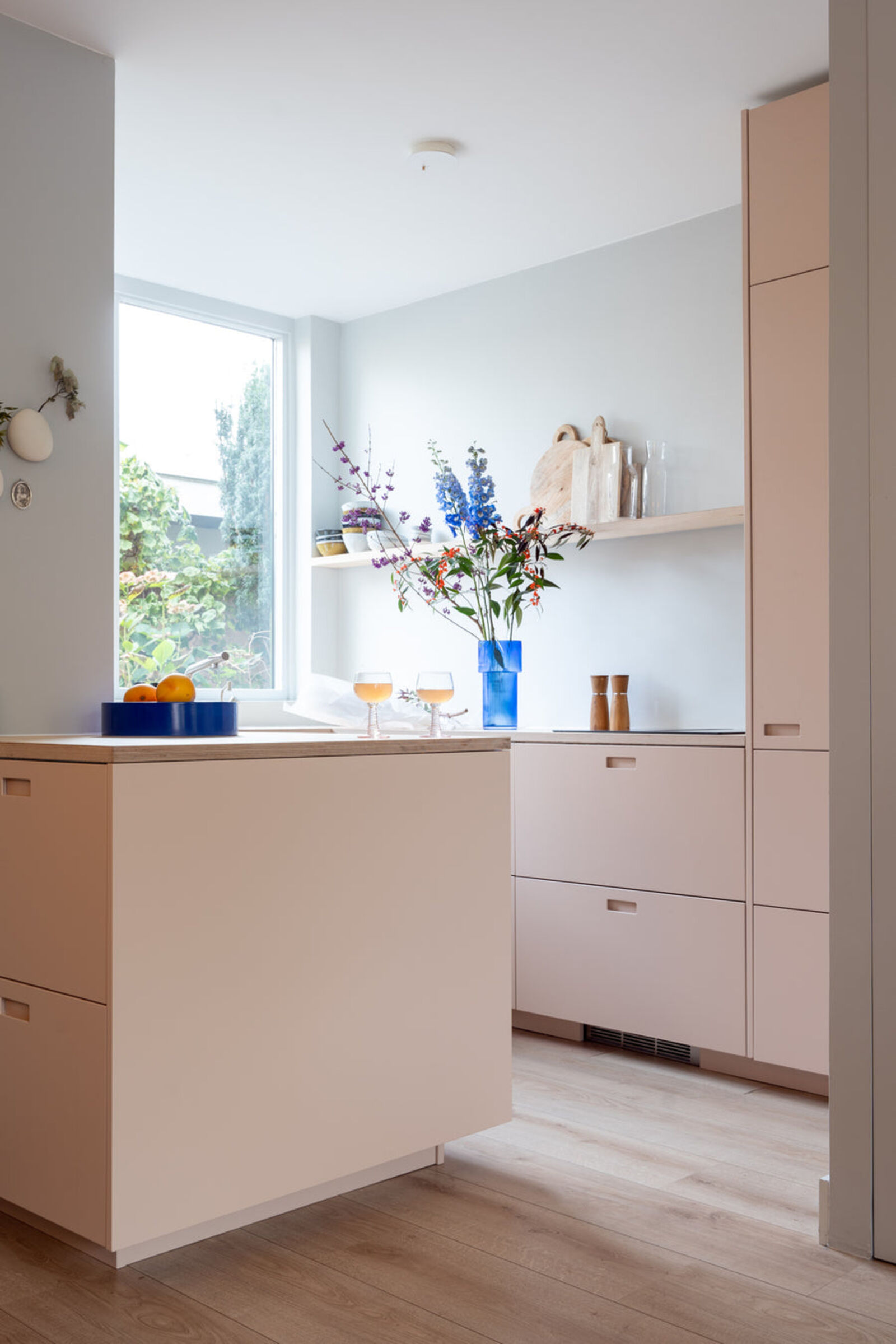 Setting Plaster — OWN